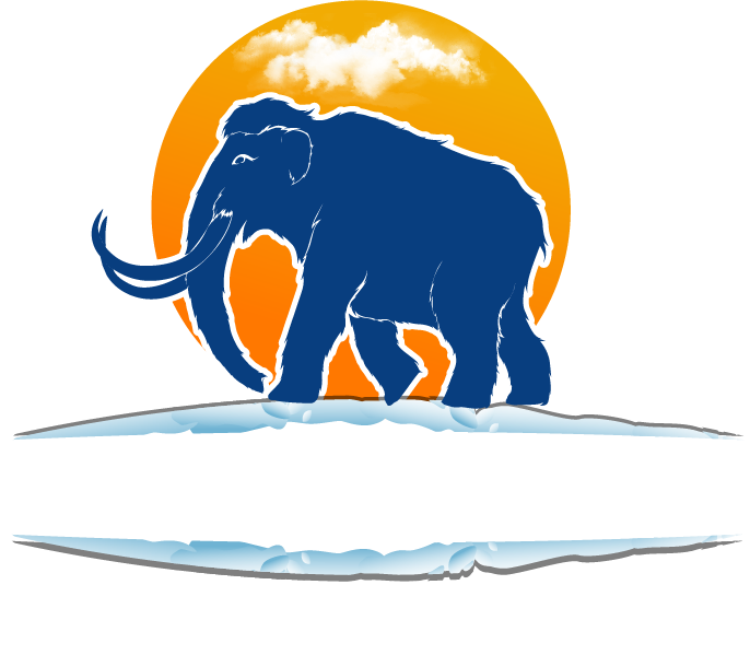 WhiteSnow cool roof tile logo